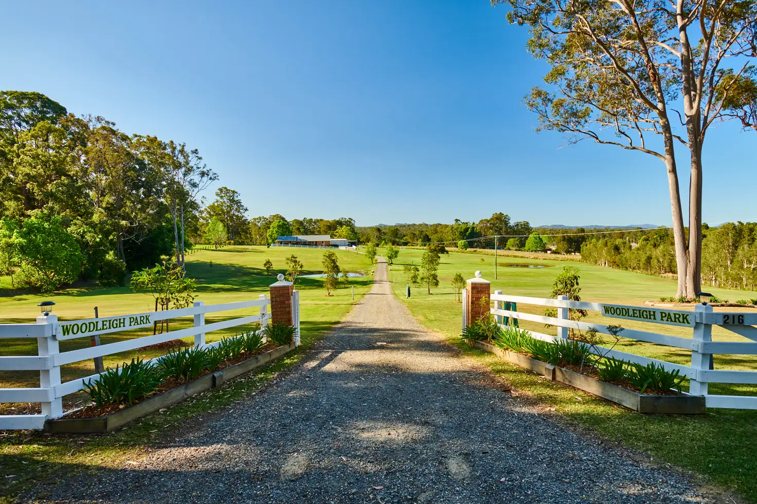 Main view of Homely rural property listing, 216 Cedar Party Road, Taree NSW 2430
