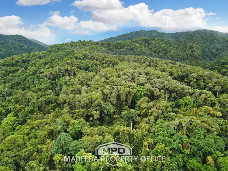 100 Churchill Creek Road, Julatten QLD 4871