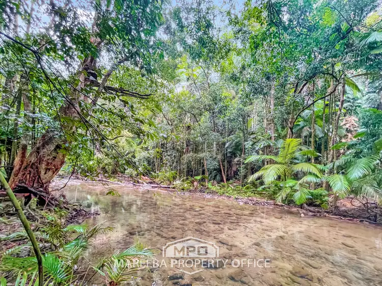 Fourth view of Homely rural property listing, 100 Churchill Creek Road, Julatten QLD 4871