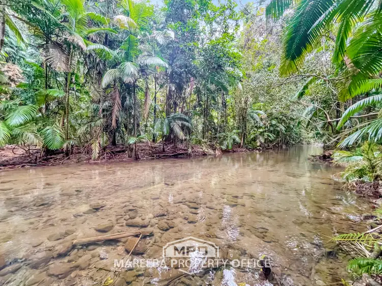 Sixth view of Homely rural property listing, 100 Churchill Creek Road, Julatten QLD 4871