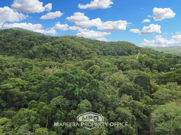 Seventh view of Homely rural property listing, 100 Churchill Creek Road, Julatten QLD 4871