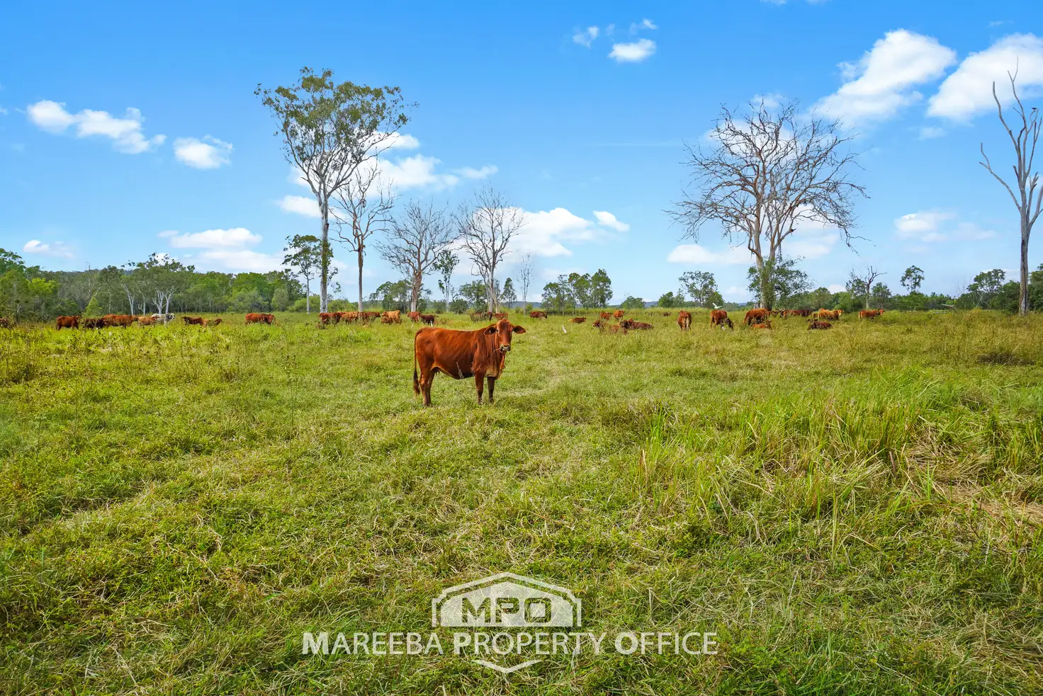 Main view of Homely rural property listing, LOT 150 & 154, 764 Hodzic Road, Biboohra QLD 4880