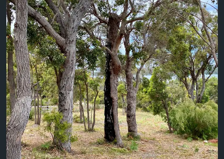 Fifth view of Homely land listing, 47 Karri Street, Walpole WA 6398