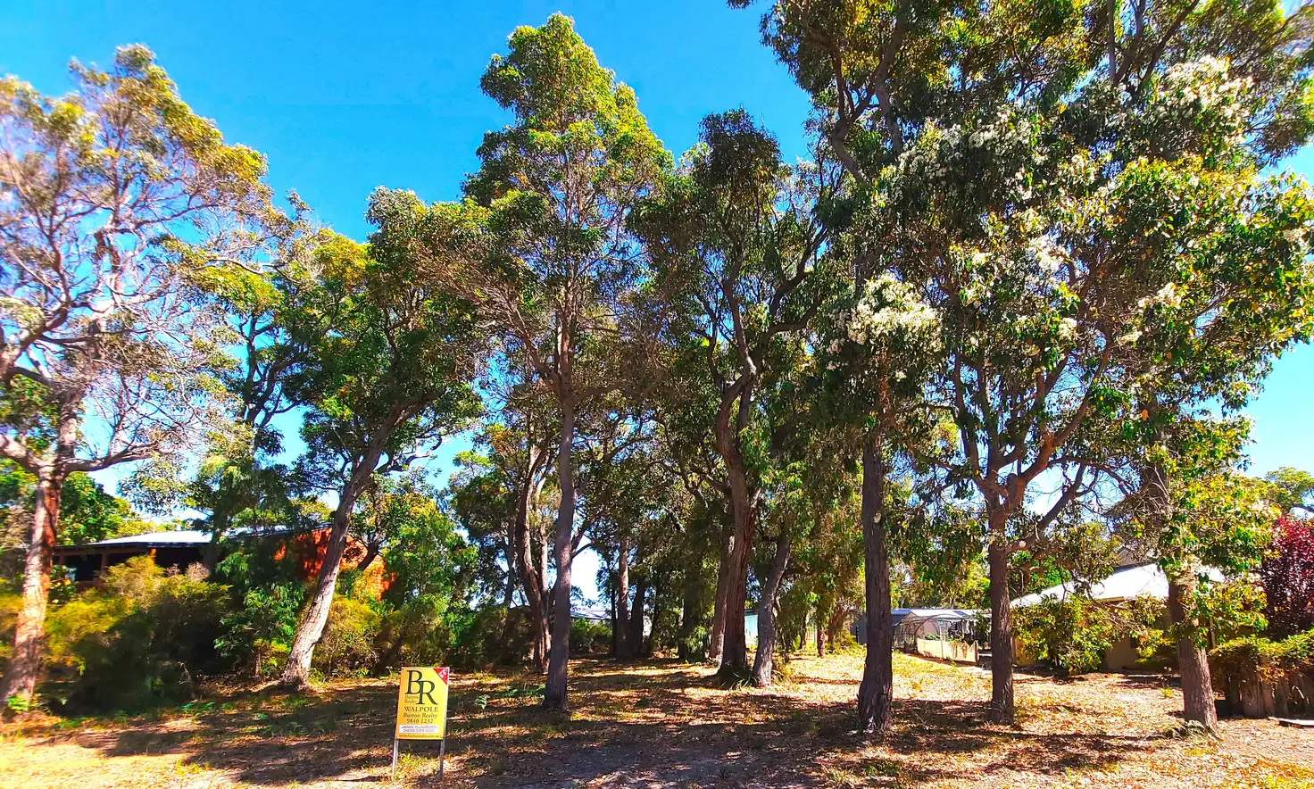 Main view of Homely land listing, 42 Karri Street, Walpole WA 6398