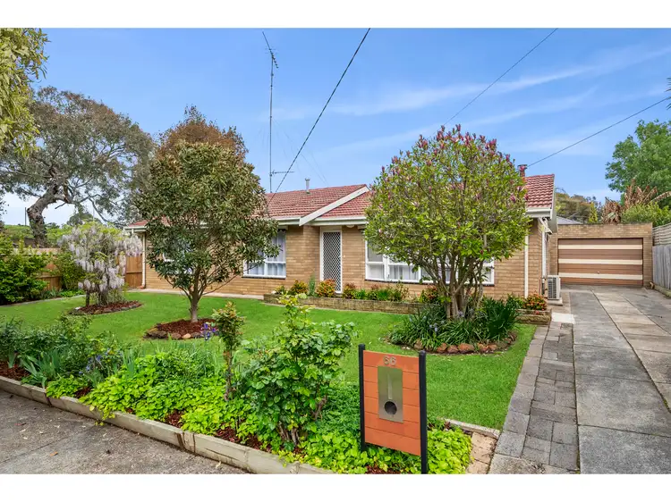 66 Iona Avenue, Belmont VIC 3216
