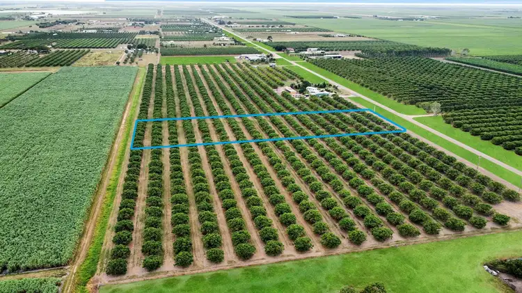 LOT 6 Bartlett Road, Horseshoe Lagoon QLD 4809