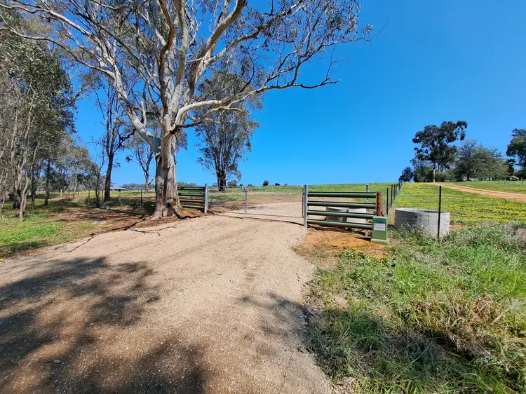15 Edward Street, Gerogery NSW 2642