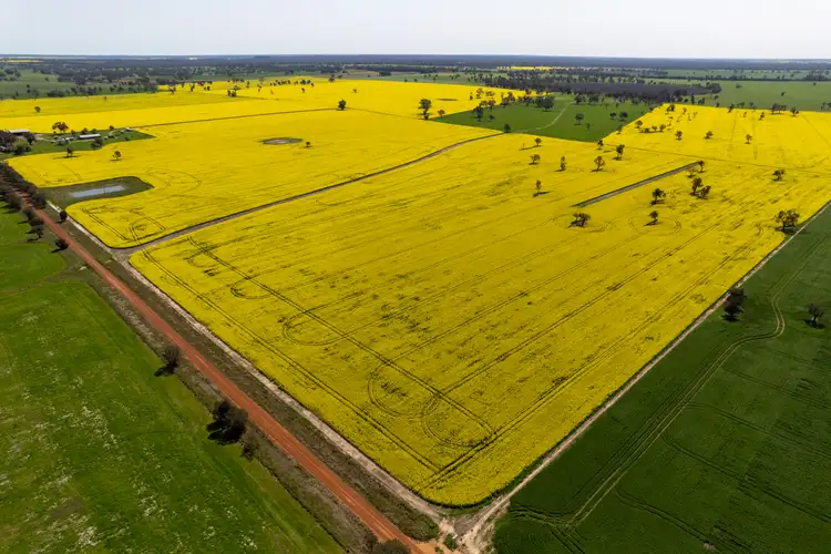 Second view of Homely rural property listing, 184 Hauslers-Dundons Road, Miga Lake VIC 3409