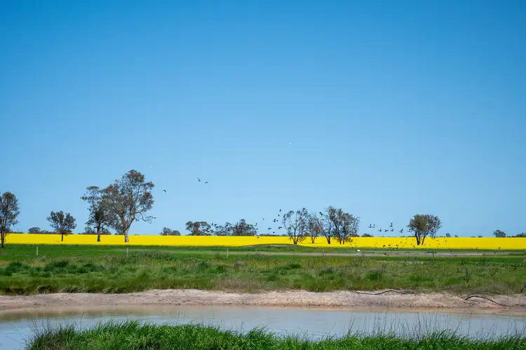 Seventh view of Homely rural property listing, 184 Hauslers-Dundons Road, Miga Lake VIC 3409