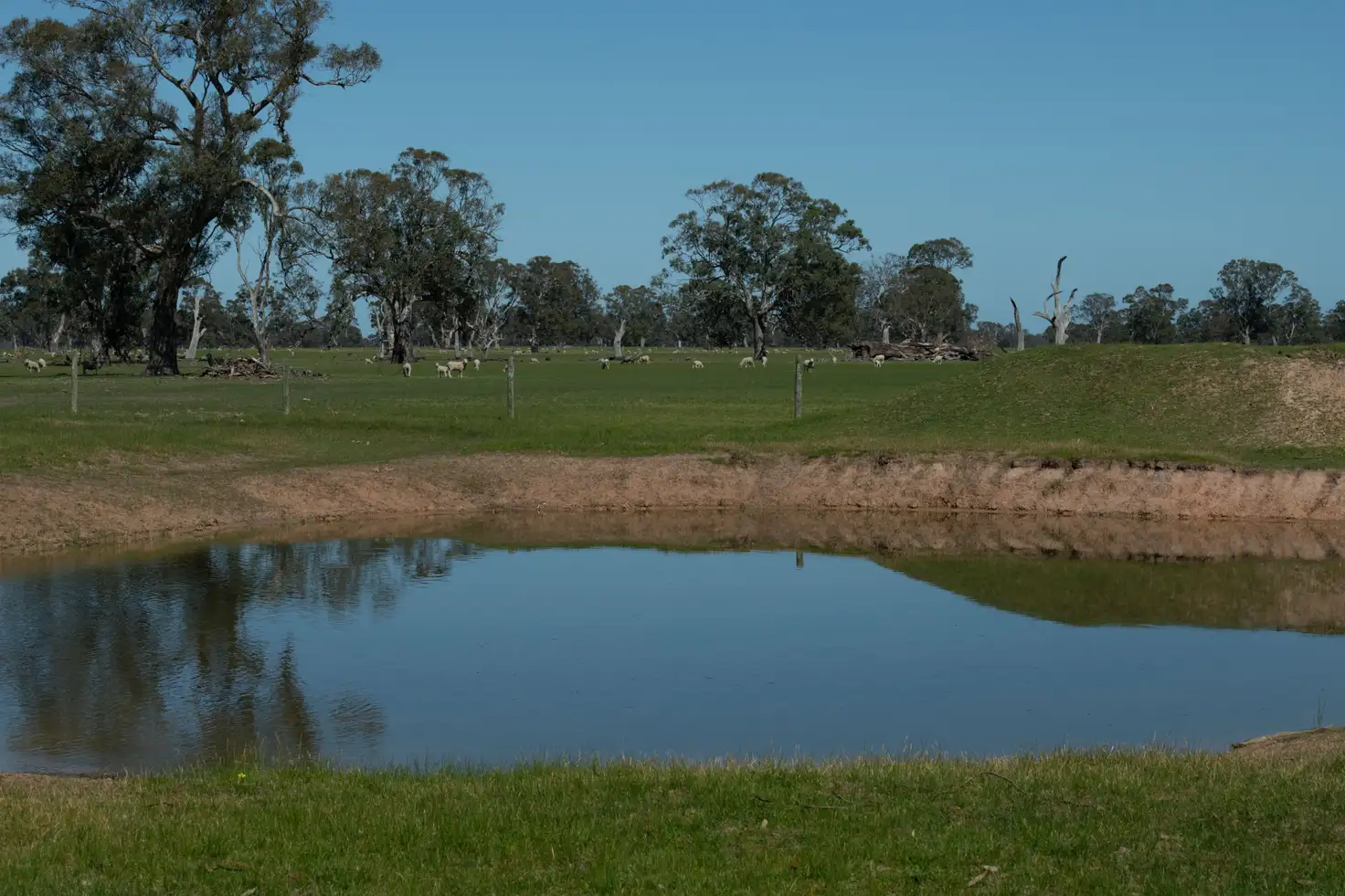 Main view of Homely rural property listing, Address available on request