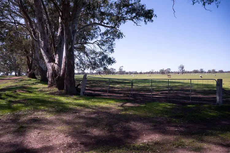 Fourth view of Homely rural property listing, Address available on request