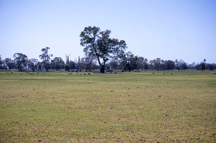 Sixth view of Homely rural property listing, Address available on request