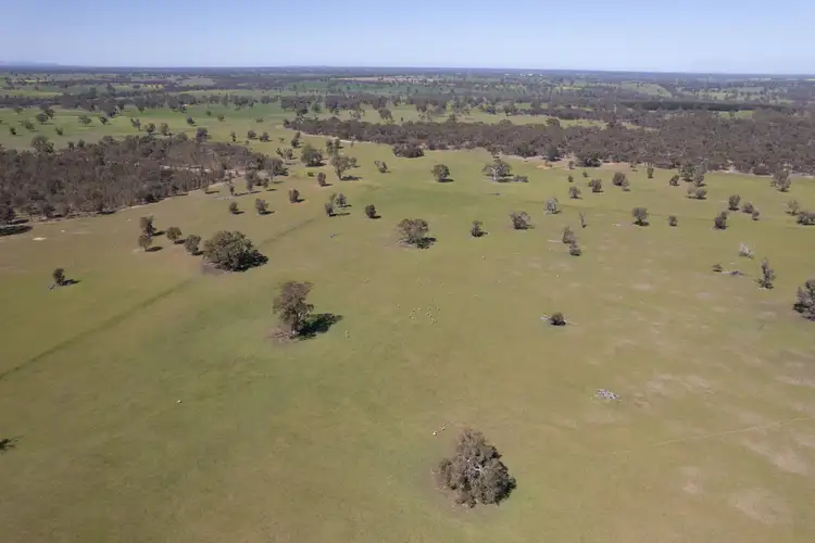 Seventh view of Homely rural property listing, Address available on request