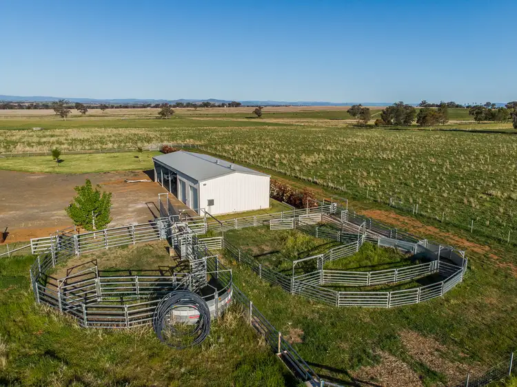 Third view of Homely rural property listing, 322 Duri-Winton Road, Duri NSW 2344