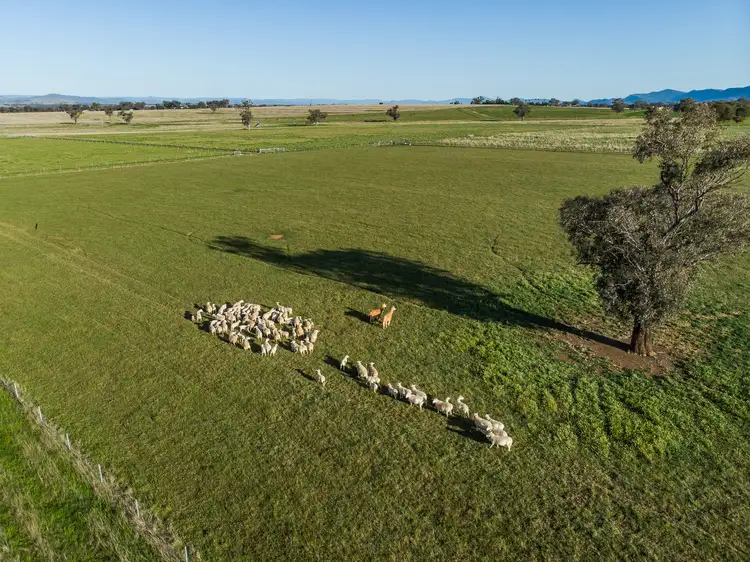 Seventh view of Homely rural property listing, 322 Duri-Winton Road, Duri NSW 2344