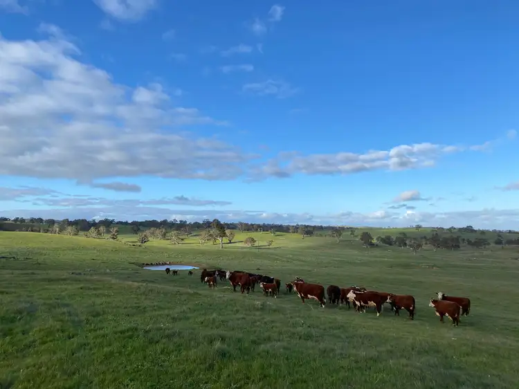Main view of Homely land listing, 102 Matthews Road, Eden Valley SA 5235