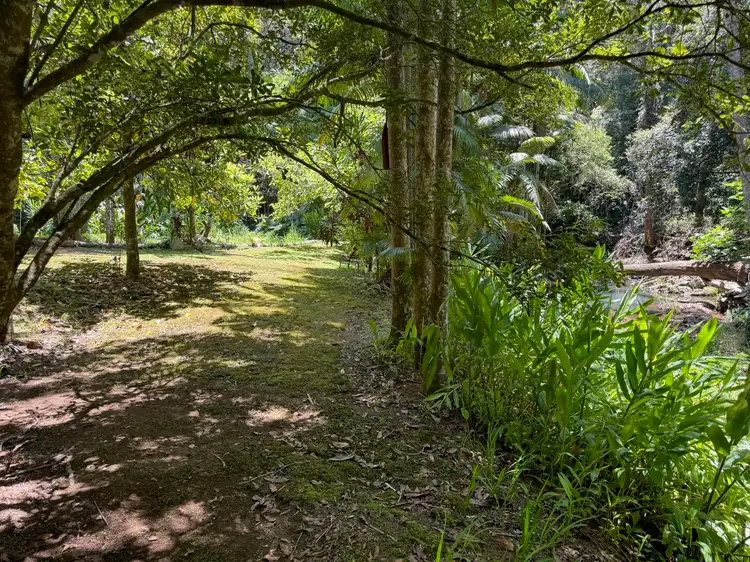 Second view of Homely rural property listing, 1408 Main Arm Road, Main Arm NSW 2482