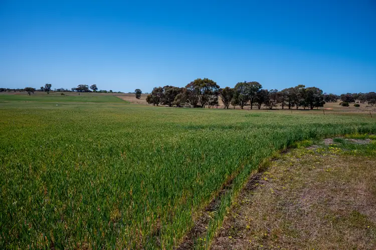Sixth view of Homely rural property listing, Address available on request