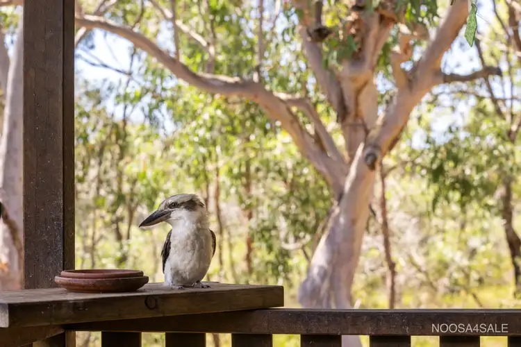 Sixth view of Homely house listing, 5 Coronet Street, Peregian Springs QLD 4573