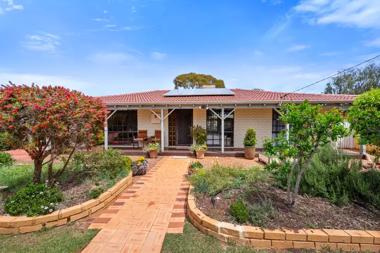 14 O'Connor Way, West Lamington WA 6430