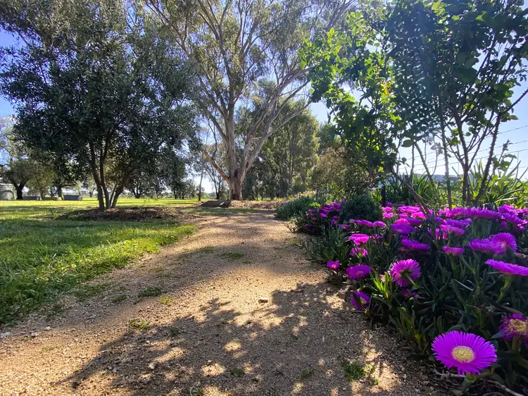 Second view of Homely rural property listing, 54 Hillview Lane, Eugowra NSW 2806