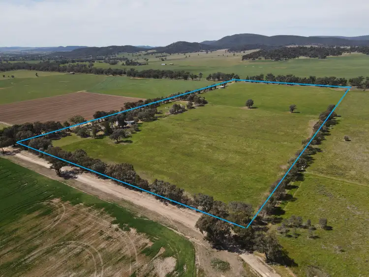 Fifth view of Homely rural property listing, 54 Hillview Lane, Eugowra NSW 2806