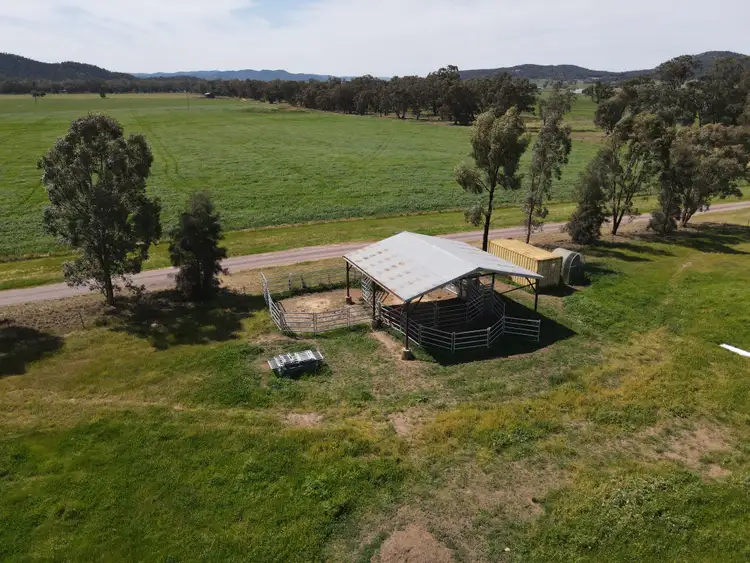 Seventh view of Homely rural property listing, 54 Hillview Lane, Eugowra NSW 2806