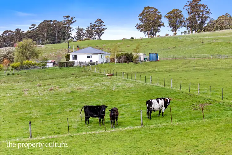 Sixth view of Homely house listing, 74 Judds Hill Road, Geeveston TAS 7116