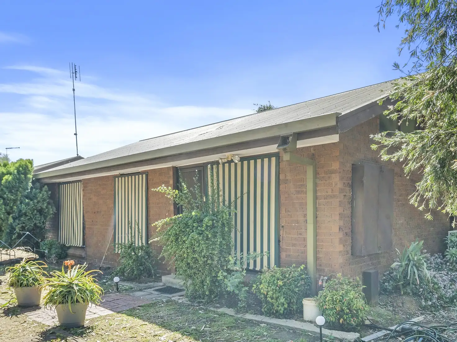 Main view of Homely unit listing, 3/29-31 Finley Street, Tocumwal NSW 2714