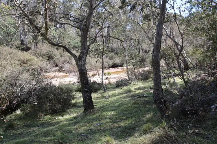 LOT 8, 401 Glen Allen Road, Glen Allen NSW 2631