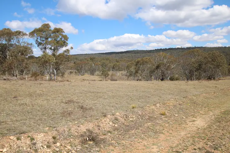Third view of Homely rural property listing, Lot 84 Parkers Road, Peak View NSW 2630
