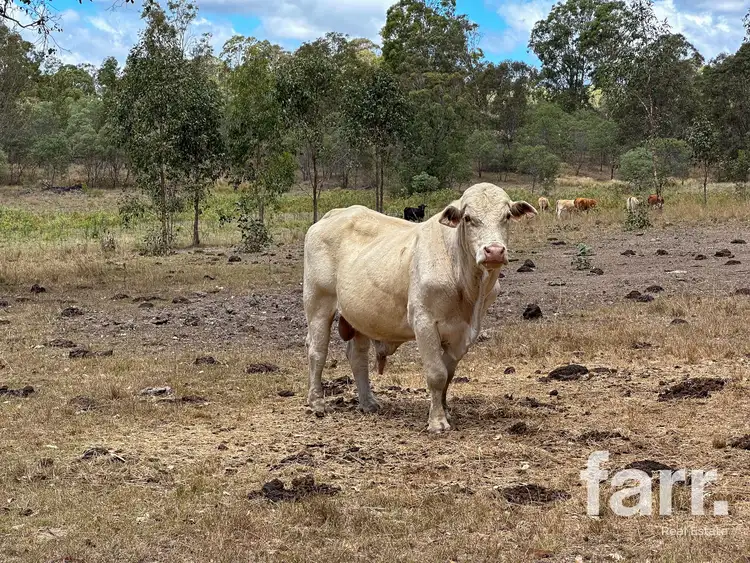 Fifth view of Homely land listing, 7157 Cunningham Hwy, Mount Edwards QLD 4309