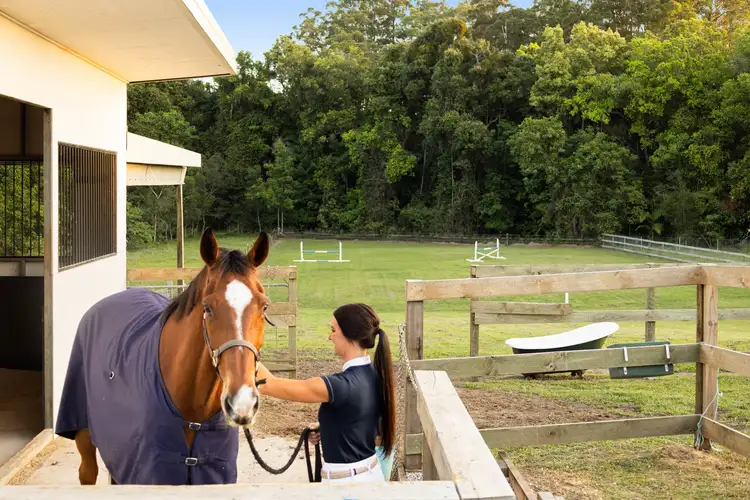 Sixth view of Homely rural property listing, 425 Glenview Road, Glenview QLD 4553