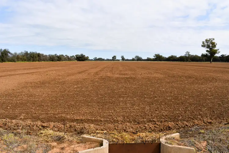 Fifth view of Homely rural property listing, "Allandale" 7861 Lachlan Valley Way, Forbes NSW 2871
