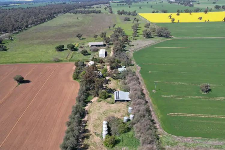 Seventh view of Homely rural property listing, "Allandale" 7861 Lachlan Valley Way, Forbes NSW 2871