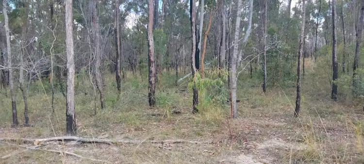 Fourth view of Homely land listing, 3359 Lowmead Road, Lowmead QLD 4676