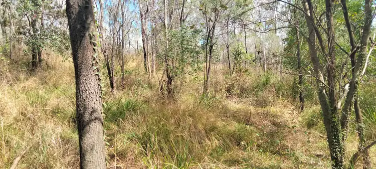 Fifth view of Homely land listing, 3359 Lowmead Road, Lowmead QLD 4676