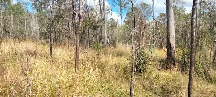 Seventh view of Homely land listing, 3359 Lowmead Road, Lowmead QLD 4676