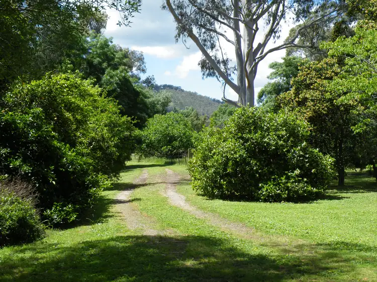 Third view of Homely rural property listing, 9 CANNING STREET, Barnawartha VIC 3688