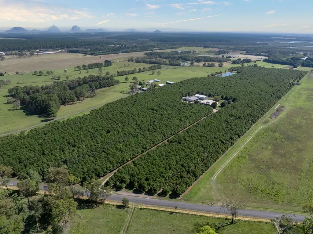 Main view of Homely rural property listing, 32 Beerburrum Donnybrook Road, Donnybrook QLD 4510