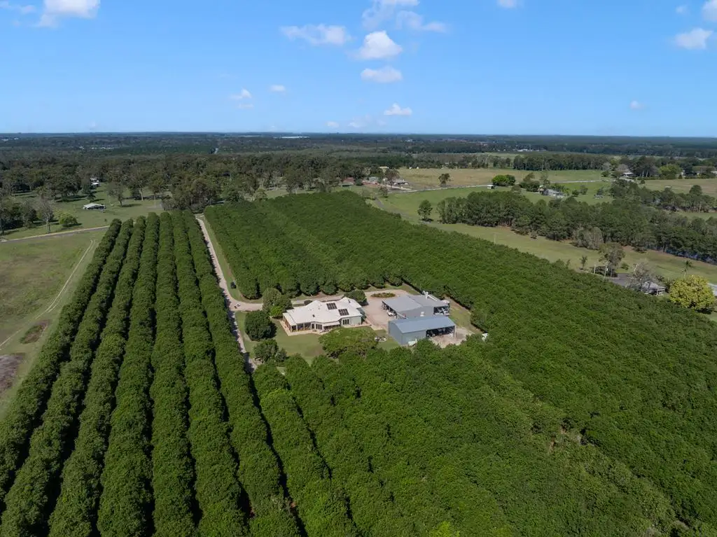 Main view of Homely rural property listing, 32 Beerburrum Donnybrook Road, Donnybrook QLD 4510