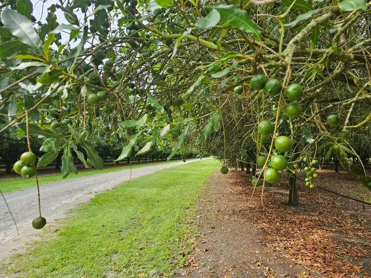 Fourth view of Homely rural property listing, 32 Beerburrum Donnybrook Road, Donnybrook QLD 4510