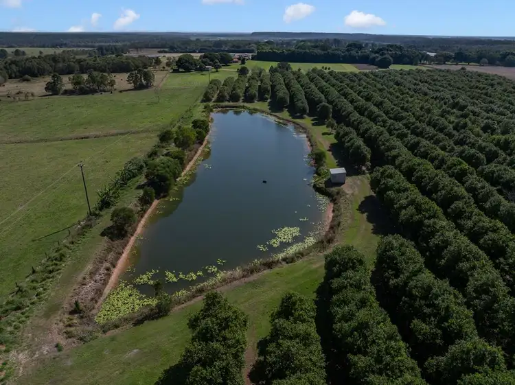 Fifth view of Homely rural property listing, 32 Beerburrum Donnybrook Road, Donnybrook QLD 4510