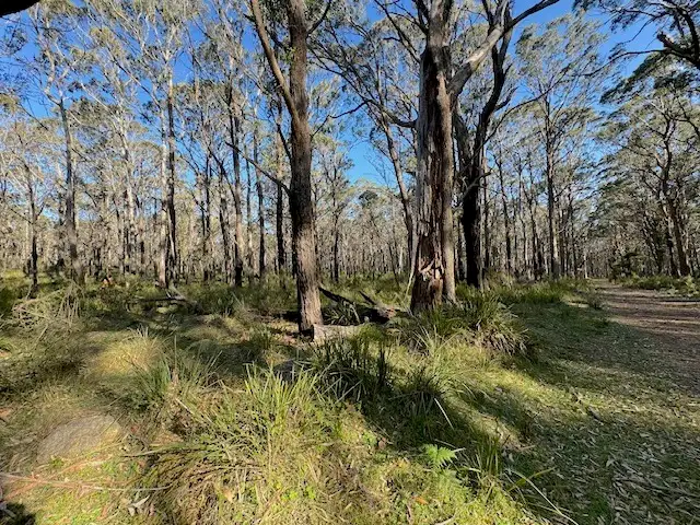 Fifth view of Homely rural property listing, 12 Langs Road, Wombeyan Caves NSW 2580