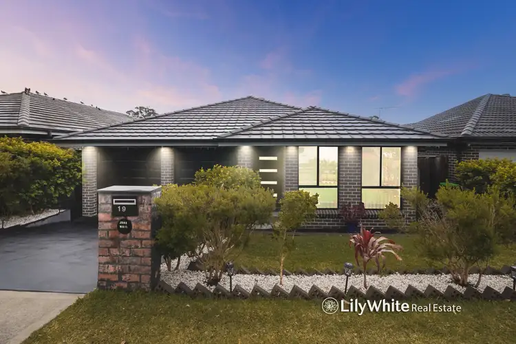 Main view of Homely house listing, 19 Cartwright Crescent, Airds NSW 2560