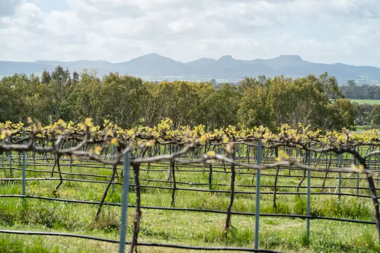 Third view of Homely rural property listing, 545 Glenellen Road, Glenellen NSW 2642