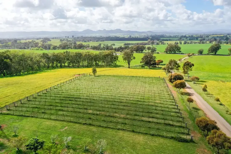 Sixth view of Homely rural property listing, 545 Glenellen Road, Glenellen NSW 2642