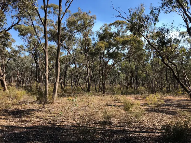 Fifth view of Homely land listing, LOT 18 & 19 Derby Road, Campbells Forest VIC 3556
