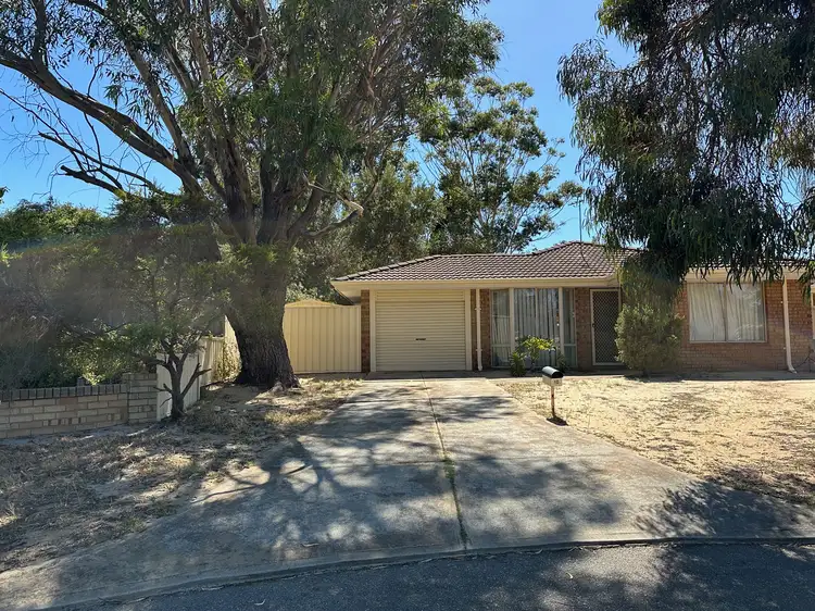 Main view of Homely house listing, 10 Eaglehawk Grove, Brookdale WA 6112