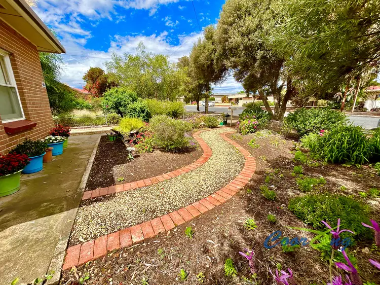 Third view of Homely semi-detached listing, 44 Kulde Road, Tailem Bend SA 5260
